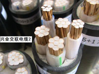 興業(yè)交聯(lián)電纜 興業(yè)交聯(lián)電纜